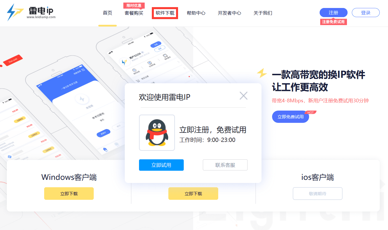 雷电IP