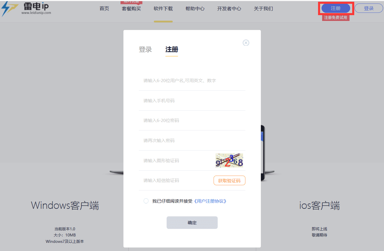 雷电IP