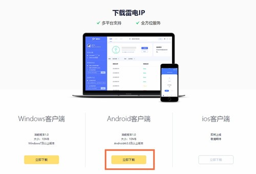 雷电IP